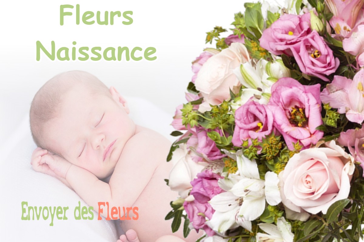 lIVRAISON FLEURS NAISSANCE à CROLLES